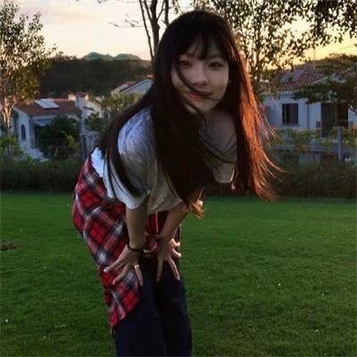 爱国者行动